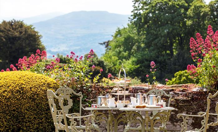Afternoon Tea served on the grassed terrace overlooking the gardens